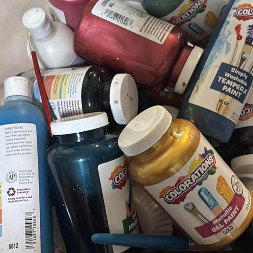Colorations mixed paint bin. Great for kids or projects